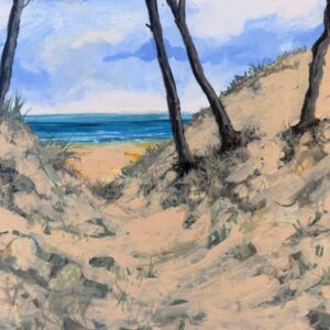 Beach Access Nhulunbuy acrylic Northern Territory