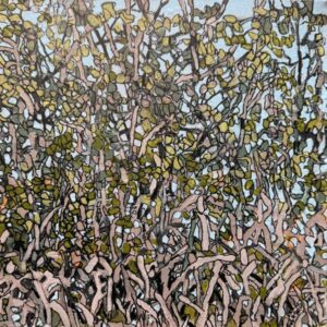 Mangrove Web acrylic