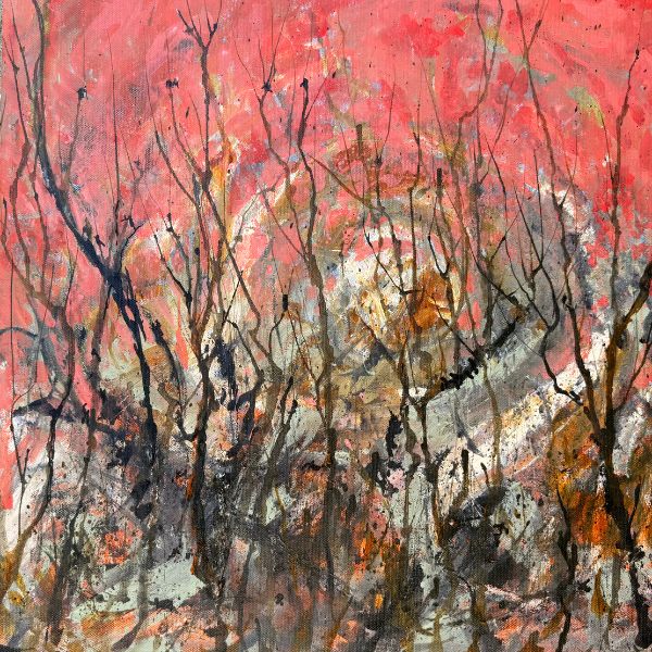 Fire Birds acrylic cockatoo
