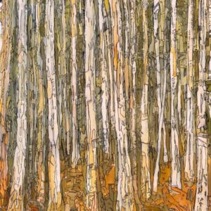 Forest Illusions