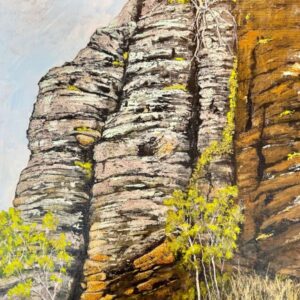 Blackdown Tablelands