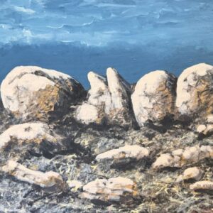 Bones in the Landscape
