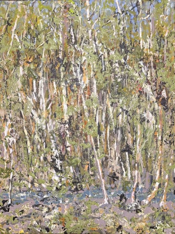 Broken River