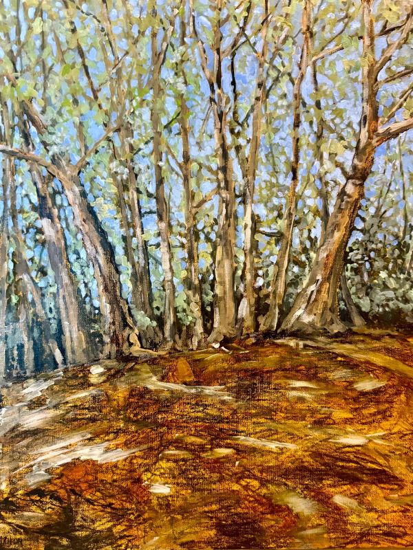 Cherry Tree Creek