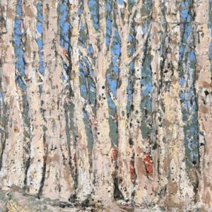 Forest Scene