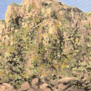 Mountain Forests