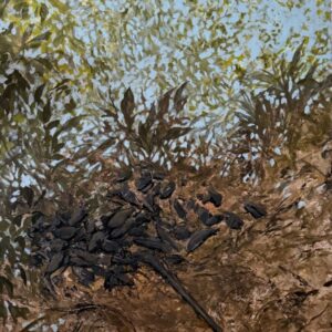 Reflections Cherry Tree Creek