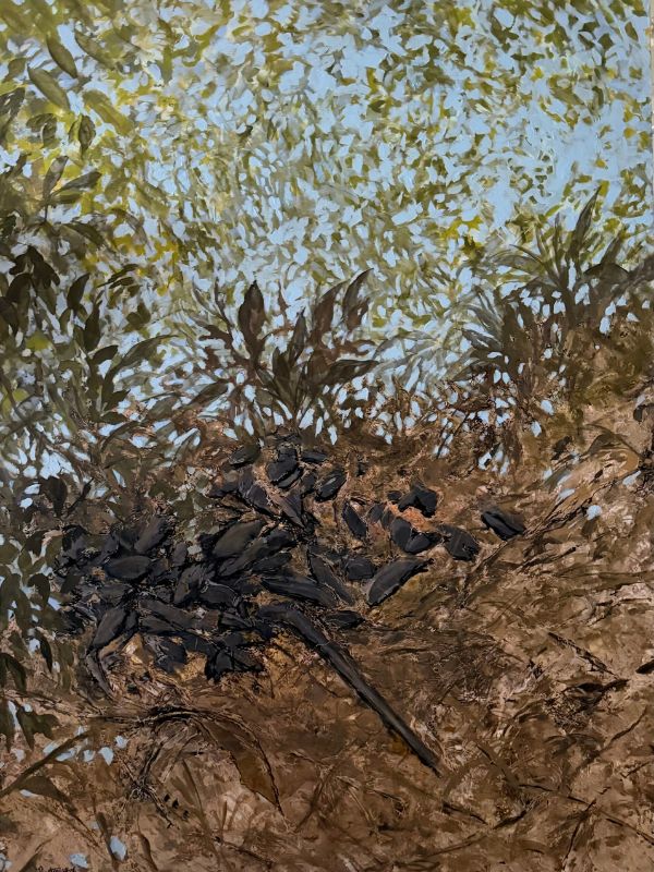 Reflections Cherry Tree Creek