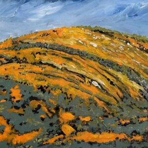 Rockface Davenport Ranges