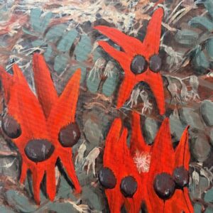 Sturt Desert Pea