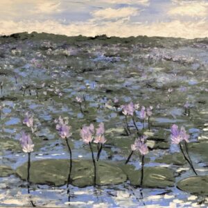 Water Lilies NT