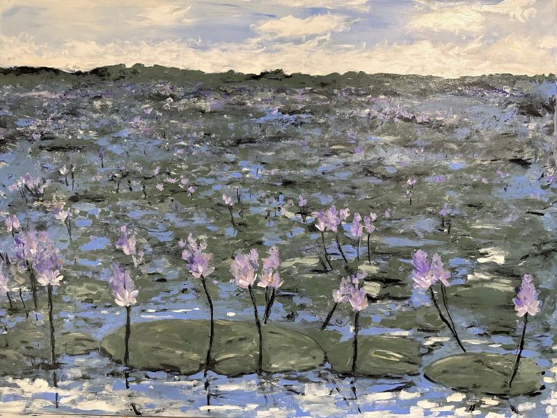 Water Lilies NT