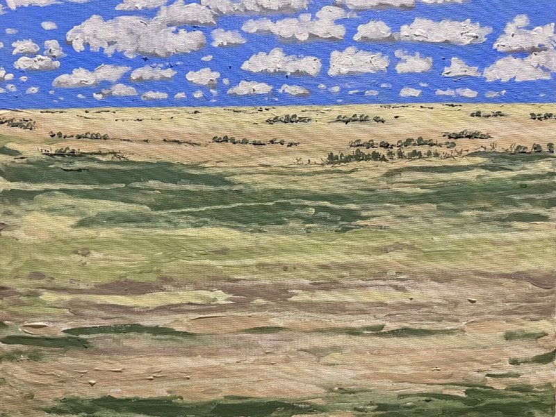 Western Plains
