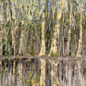 Wetlands